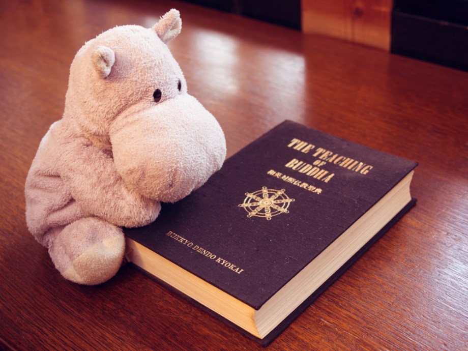 Tiny Hippo and the Buddha