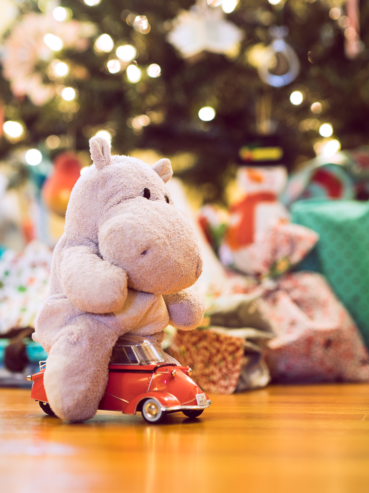 Tiny Hippo and a Tiny Car