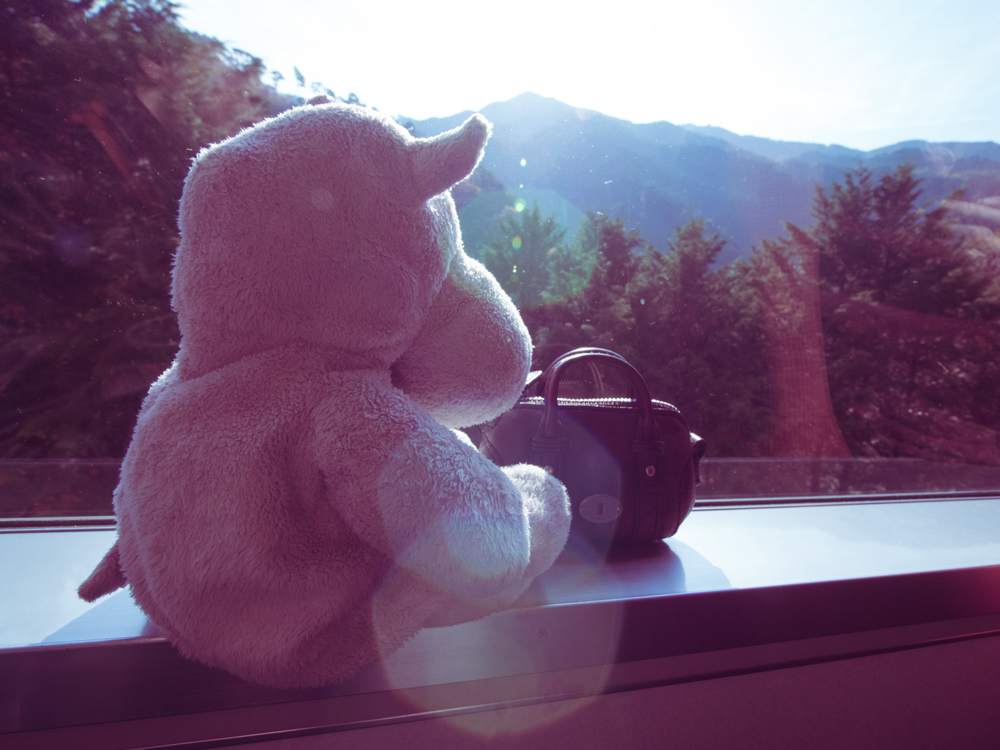 Tiny Hippo Going to Kyoto