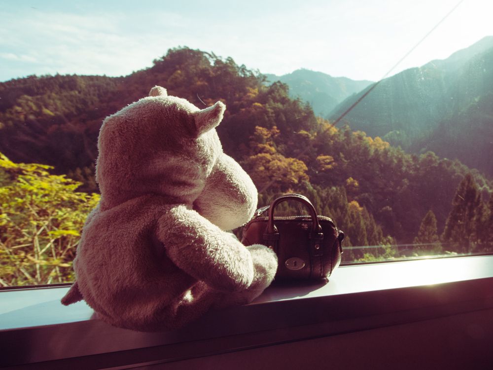 Tiny Hippo on Train in Japan