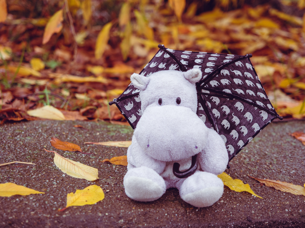 Tiny Hippo with Umbrella