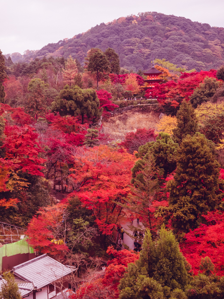 Kiyomizu-dera