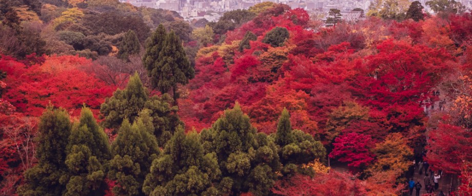 Kiyomizu-dera, Kyoto