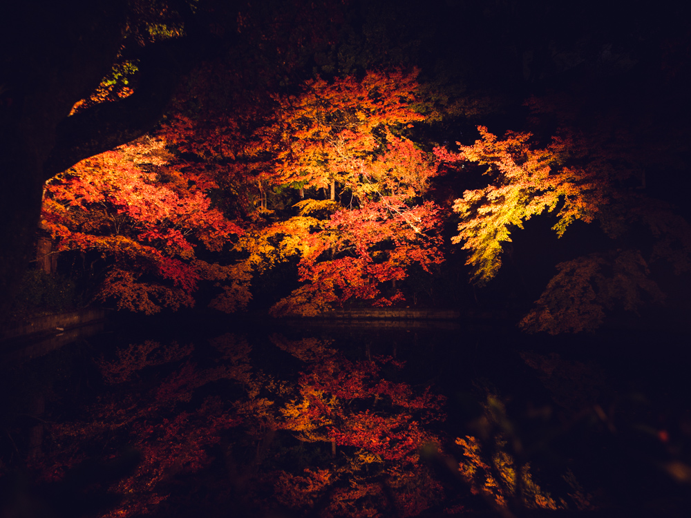 Kiyomizu-dera Pond at Night