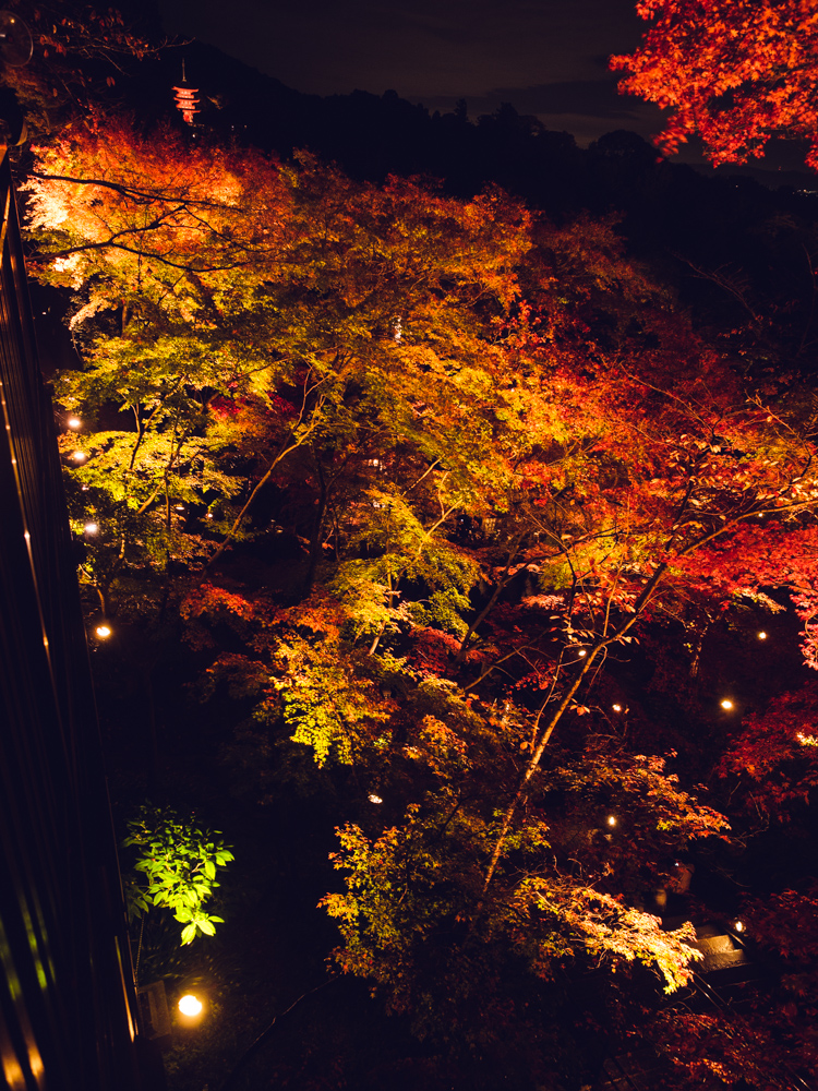 Kiyomizu-dera at Night